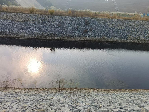 1737099289512508.png 圖片6.png